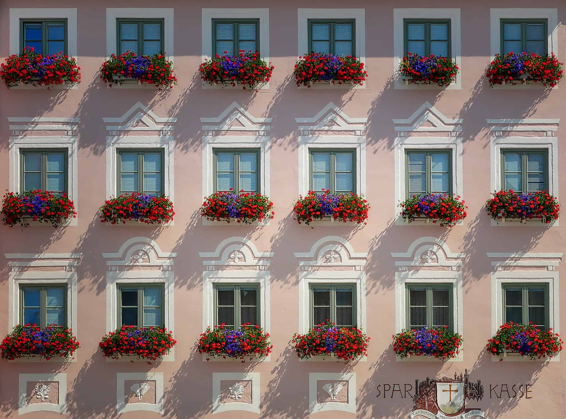 sunlit houses, pink, with vibrant red bloom window boxes