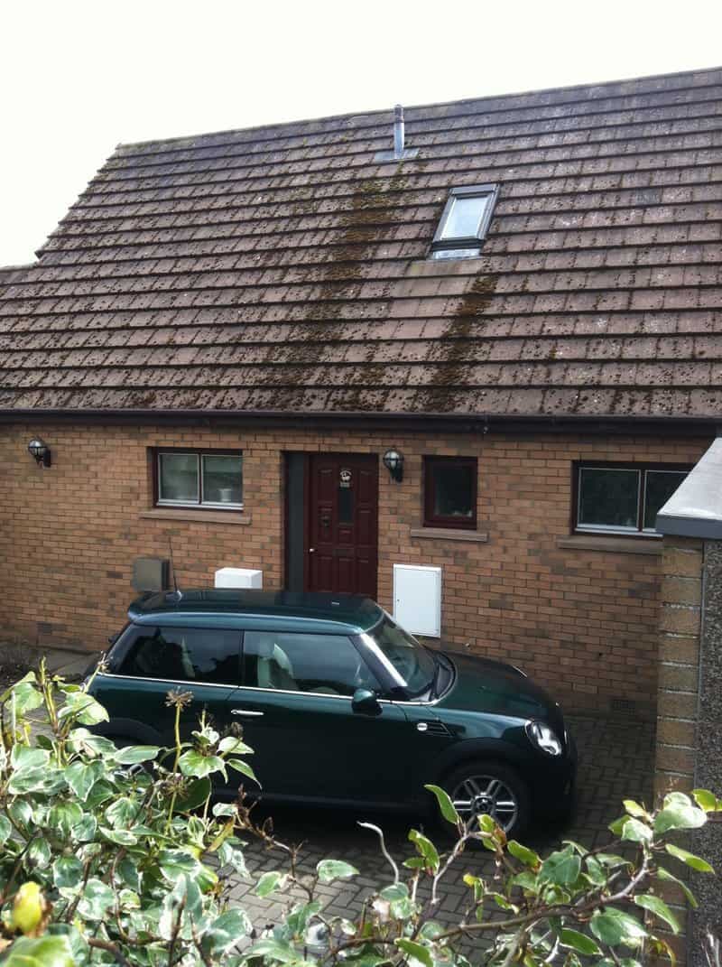 Wall coating project in Scotland